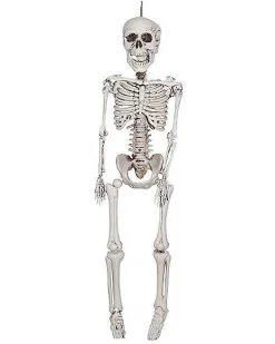 3 Ft Plastic Skeleton