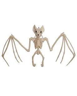 22.5 Inch Bat Skeleton